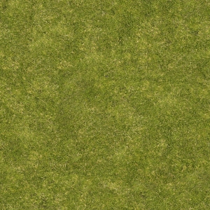 高清无缝草地-ID:531849917