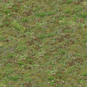 高清无缝草地-ID:295381074