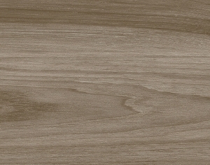 ModernWood Texture