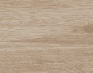 ModernWood Texture