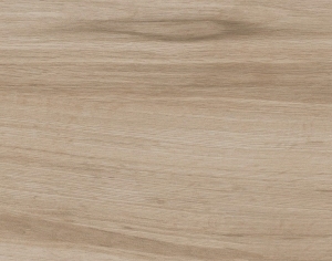 ModernWood Texture