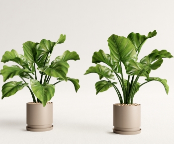 Modern Potted Green Plant-ID:652270087