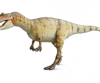 现代动物恐龙-ID:408734085