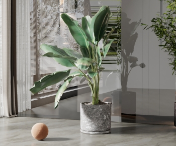 Modern Potted Green Plant-ID:700474026