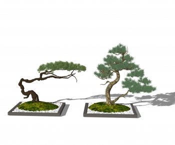 新中式造型松树-ID:404402024