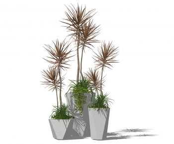 Modern Potted Green Plant-ID:340044988