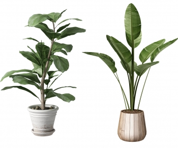 Modern Potted Green Plant-ID:229207991