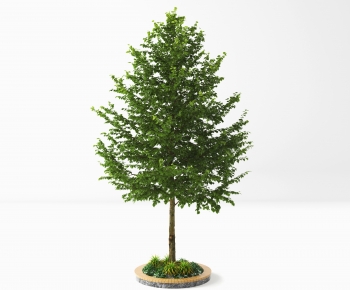 Modern Tree-ID:360760724