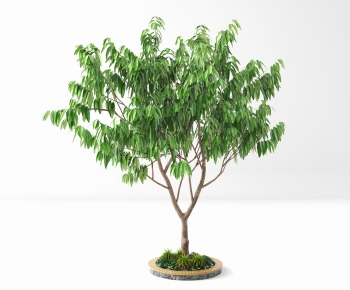 Modern Tree-ID:841674095