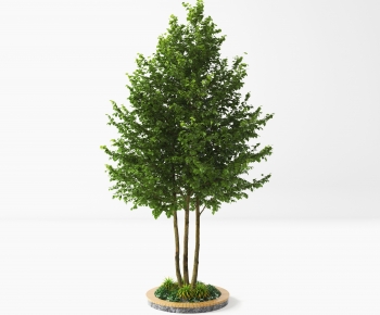 Modern Tree-ID:196960052