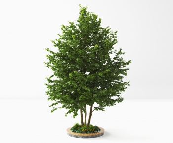 Modern Tree-ID:796930834