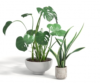 Modern Potted Green Plant-ID:295283081