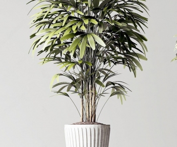 Modern Potted Green Plant-ID:883190612