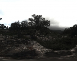 Village