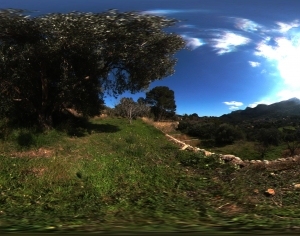 Village
