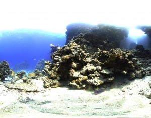 Seawater