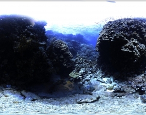 Seawater