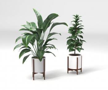 Modern Potted Green Plant-ID:650858979