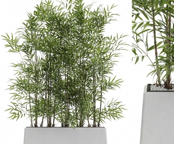 Modern Bamboo-ID:426472907