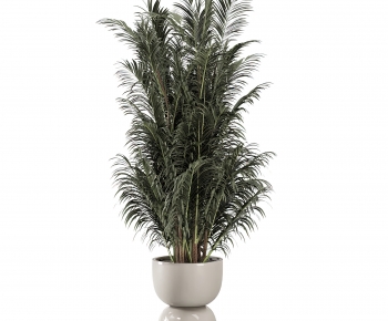 Modern Potted Green Plant-ID:435699942
