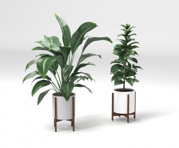 Modern Potted Green Plant-ID:339376939