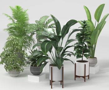 Modern Potted Green Plant-ID:648665905