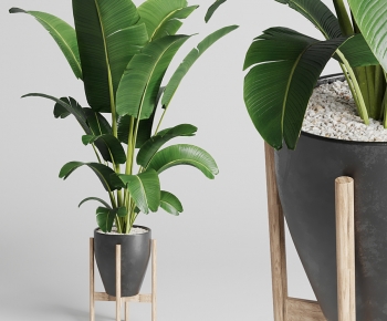 Modern Potted Green Plant-ID:871707926