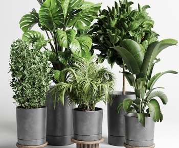 Modern Potted Green Plant-ID:384728969