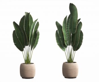 Modern Potted Green Plant-ID:343256006