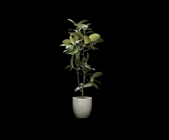 Modern Potted Green Plant-ID:727090819