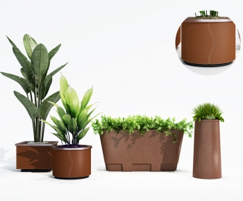 Modern Potted Green Plant-ID:511590961