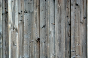 ModernOld Wood Texture