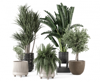 Modern Potted Green Plant-ID:936150642