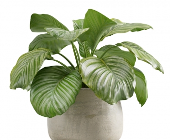 Modern Potted Green Plant-ID:985414033