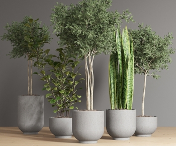 Modern Potted Green Plant-ID:981722124
