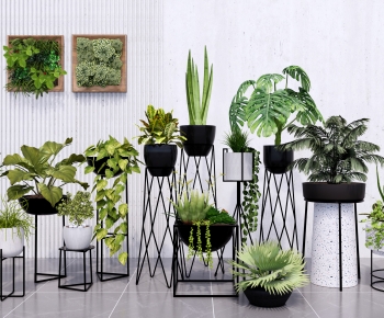 Modern Potted Green Plant-ID:314528944