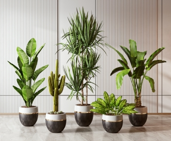 Modern Potted Green Plant-ID:859739838