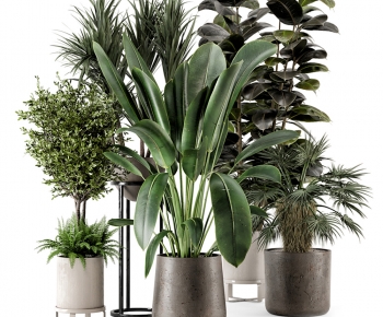 Modern Potted Green Plant-ID:784164918