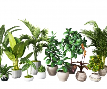 Modern Potted Green Plant-ID:837877995
