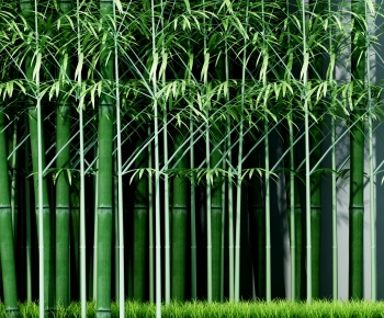 Modern Bamboo-ID:682610034
