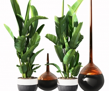 Modern Potted Green Plant-ID:594242105