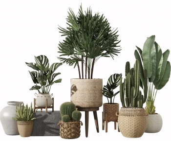Modern Potted Green Plant-ID:742859831