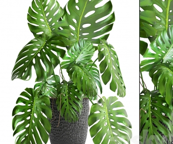 Modern Potted Green Plant-ID:355060102