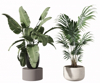 Modern Potted Green Plant-ID:563080342