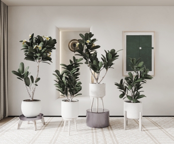 Modern Potted Green Plant-ID:283288006