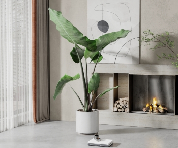 Modern Potted Green Plant-ID:942243106