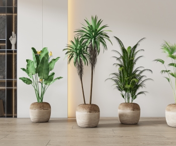 Modern Potted Green Plant-ID:606760034