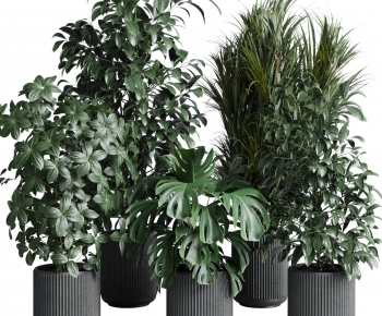 Modern Potted Green Plant-ID:173099997