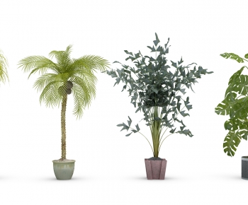 Modern Potted Green Plant-ID:763691904
