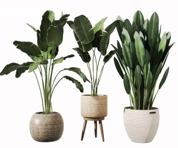 Modern Potted Green Plant-ID:125526919